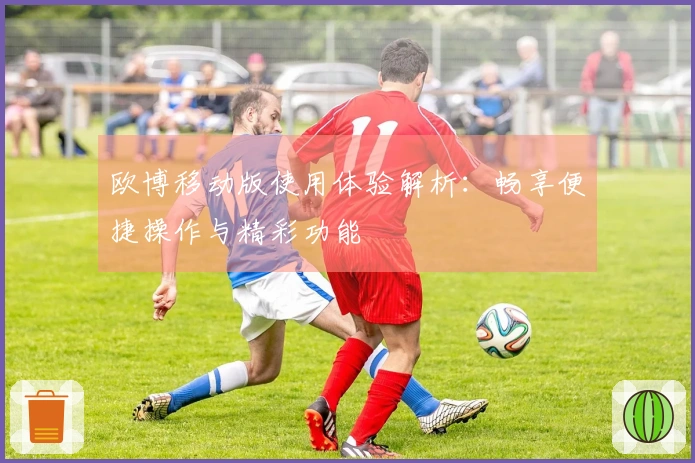 欧博移动版使用体验解析：畅享便捷操作与精彩功能
