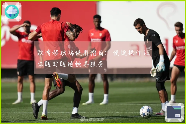 欧博移动端使用指南：便捷操作让你随时随地畅享服务