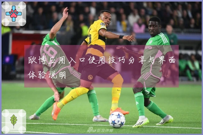 欧博应用入口使用技巧分享与界面体验说明