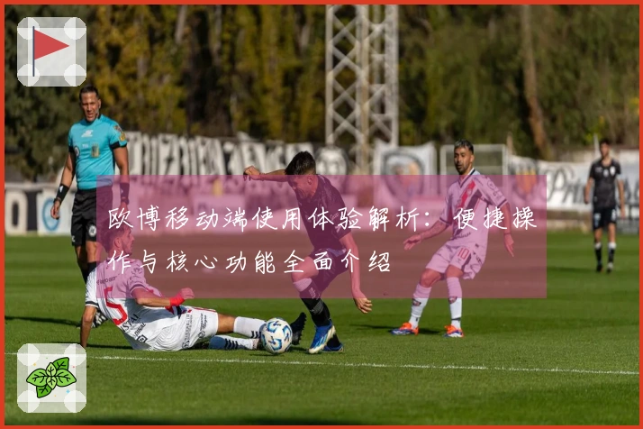 欧博移动端使用体验解析:便捷操作与核心功能全面介绍