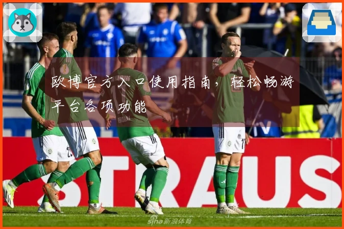 欧博官方入口使用指南，轻松畅游平台各项功能