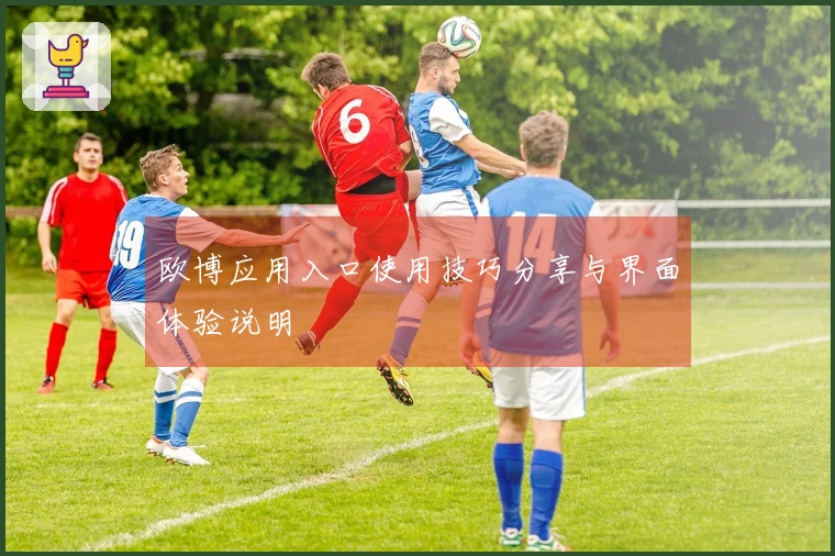 欧博应用入口使用技巧分享与界面体验说明