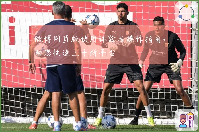 欧博网页版使用体验与操作指南，助您快速上手新平台