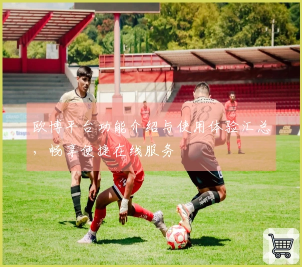 欧博平台功能介绍与使用体验汇总，畅享便捷在线服务